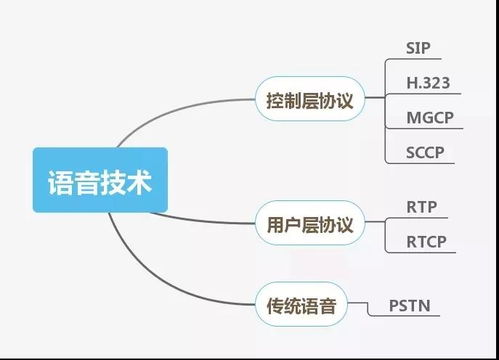 網絡工程與弱電工程 領域對比與技能解析